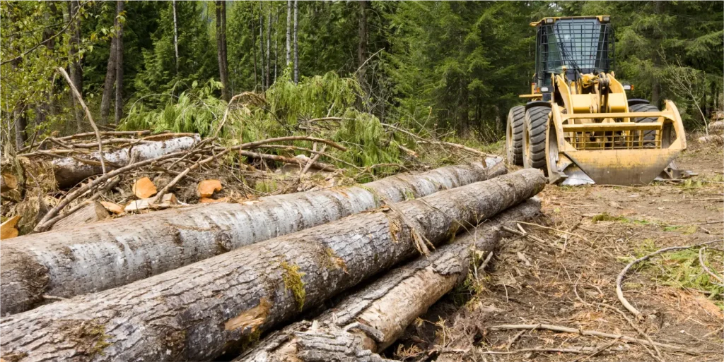 Land Clearing@1.5x@1x