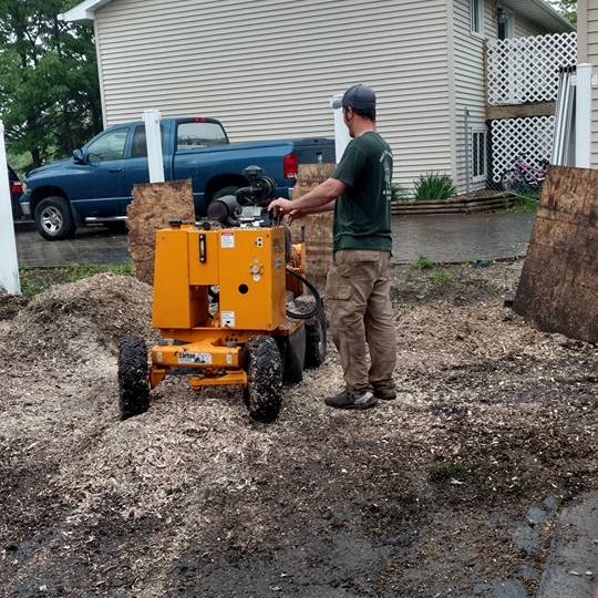 Stump Removal Stump Removal